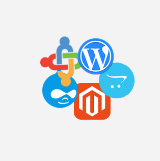 CMS Website Development Company in Kolkata